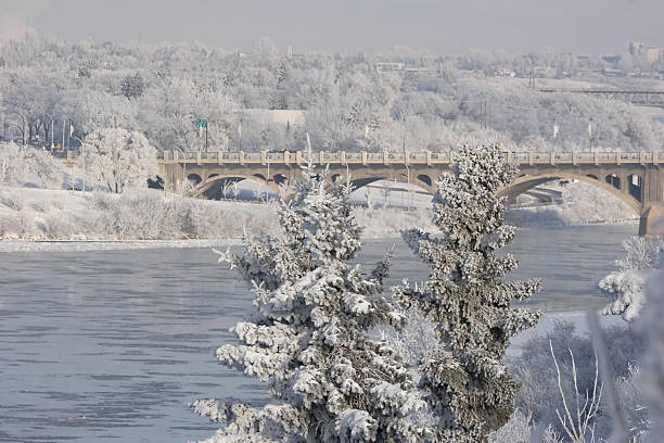 hoarfrost em saskatoon - south saskatchewan river imagens e fotografias de stock