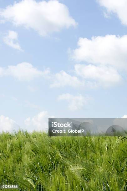 Paisaje Con Nubes Foto de stock y más banco de imágenes de Agricultura - Agricultura, Aire libre, Ajardinado