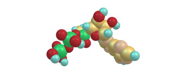 Adenosine triphosphate molecular structure isolated on white stock photo