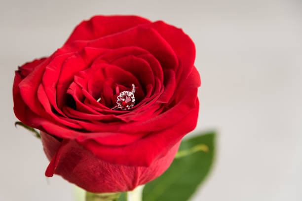 istock Sparkling engagement ring inside red rose. Romantic gift for valentines day. Marriage proposal concept. 912578818