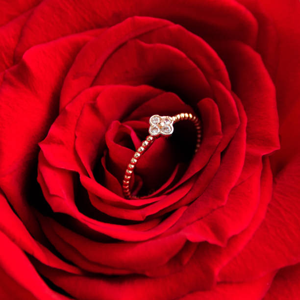 istock Sparkling engagement ring inside red rose. Romantic gift for valentines day. Marriage proposal concept. 912578836