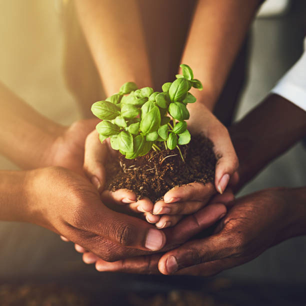 istock We all need to play our part in nurturing nature 912581332