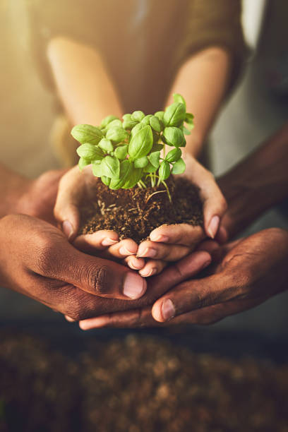 Magical things happen when we all show a little care