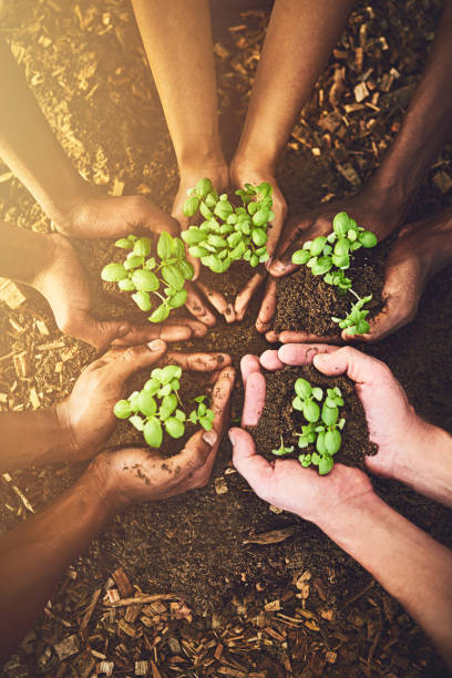 istock We've all got a part to play in protecting earth 912581374