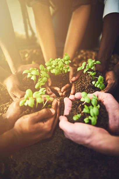 istock Upholding the earth is a responsibility we share 912581398