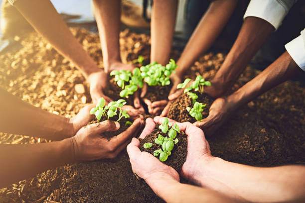 istock Everyone has the potential to grow 912581412