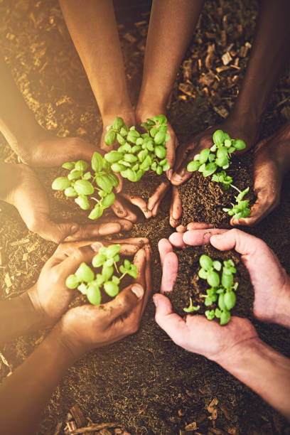 istock Life's fragile. Handle with care 912581414
