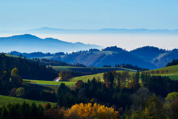 rhine valley black forest vosges panorama - black forest forest sky blue imagens e fotografias de stock