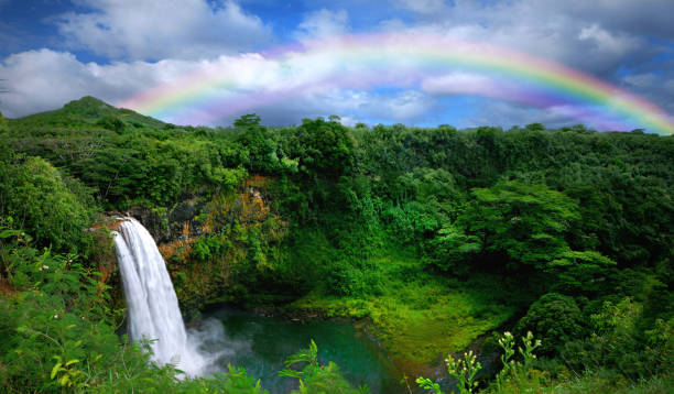 cascata con arcobaleno di kauai - cascata foto e immagini stock