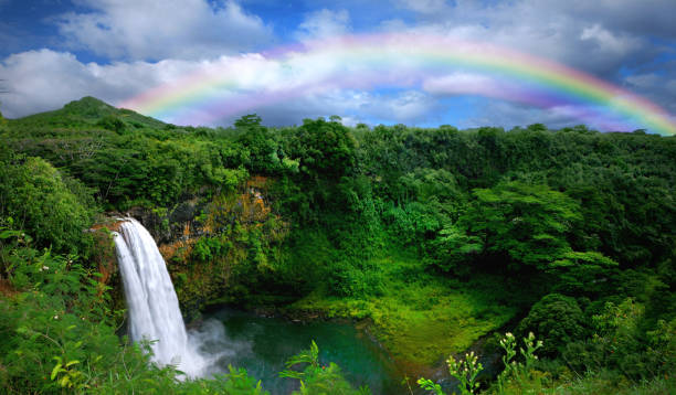 waterfall with rainbow in kauai - hawaï eilanden stockfoto's en -beelden