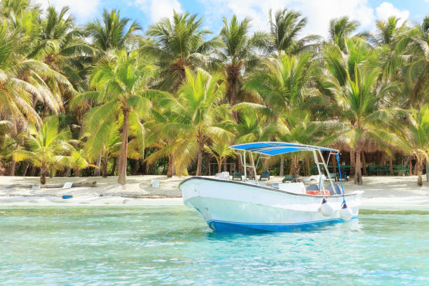 istock Vacation in Dominican Republic 912593020