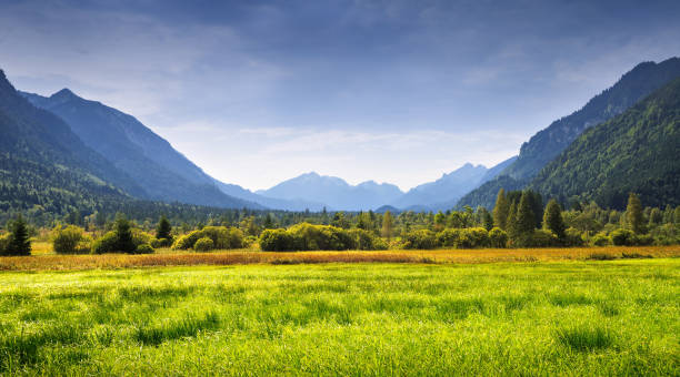 istock Mountain landscape with green valley 912602458
