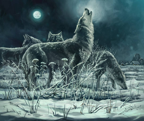 ilustrações de stock, clip art, desenhos animados e ícones de flock wolves - lobo