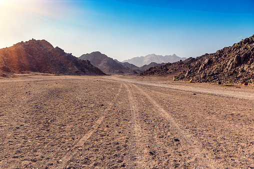 tracks from the car in Arabian desert in Egypt