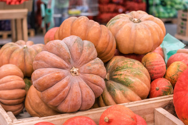 istock crop of ripe pumpkins 912607198