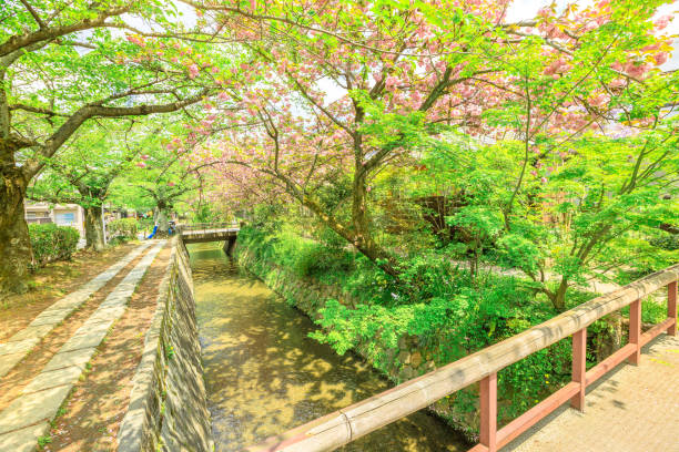 istock Philosopher's Walk Kyoto 912609764