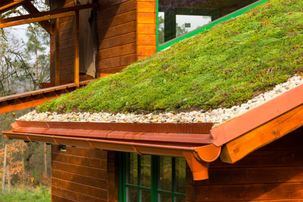 Wooden house with extensive green living roof covered with vegetation stock photo