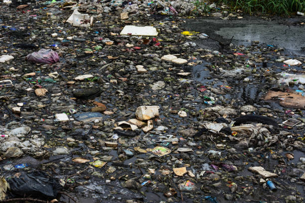 istock The garbage is floating in a blackened and rotten water. 912611830