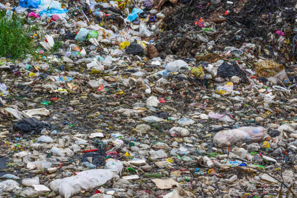 istock The garbage is floating in a blackened and rotten water. 912611864