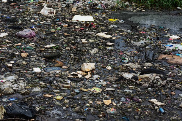 istock The garbage is floating in a blackened and rotten water. 912611980