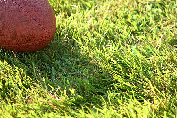 istock Football in Grass 91261337