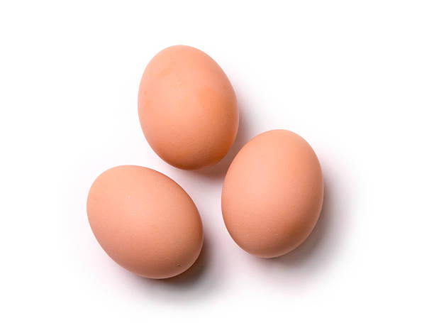 ei - animal egg eggs food white stock-fotos und bilder