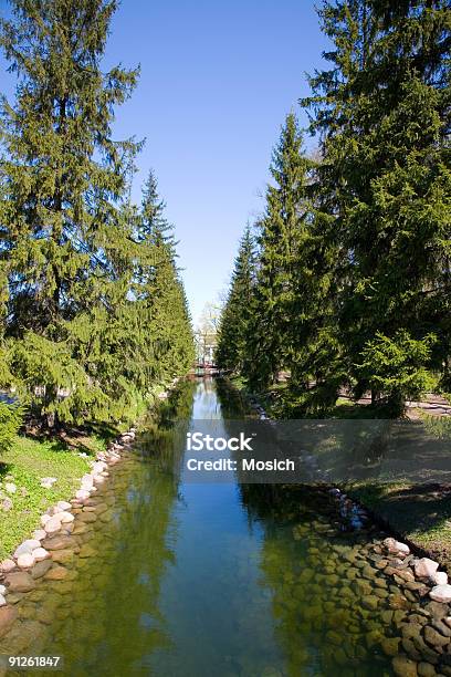 Canal Con Agua Foto de stock y más banco de imágenes de Abeto - Abeto, Agua, Aire libre