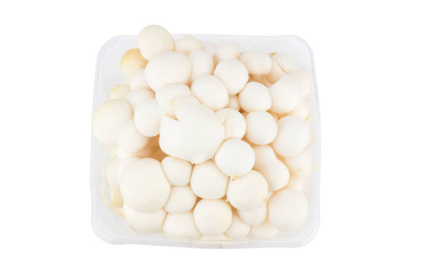 istock White shimeji mushrooms in box on white background 912621214