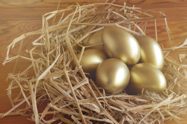 istock Financial success. Golden Egg on wooden background 912625768