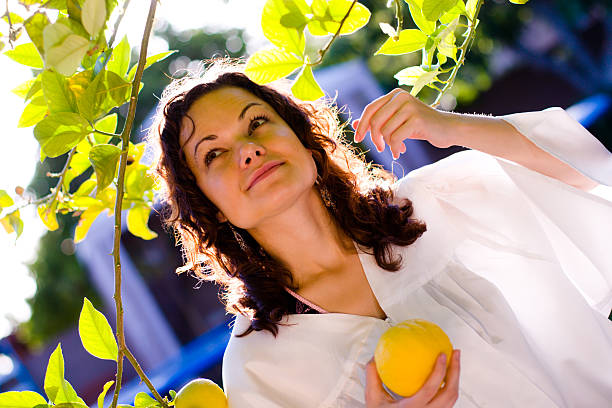 istock Young woman picking up a fresh lemon from tree 91262850