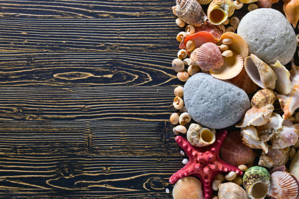 istock Sea vacation background with star fish and shells . 912628564