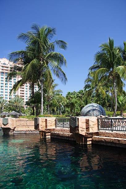 Tropical Hotel Resort - foto stock