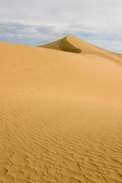istock Sand dunes of Maspalomas 91263187