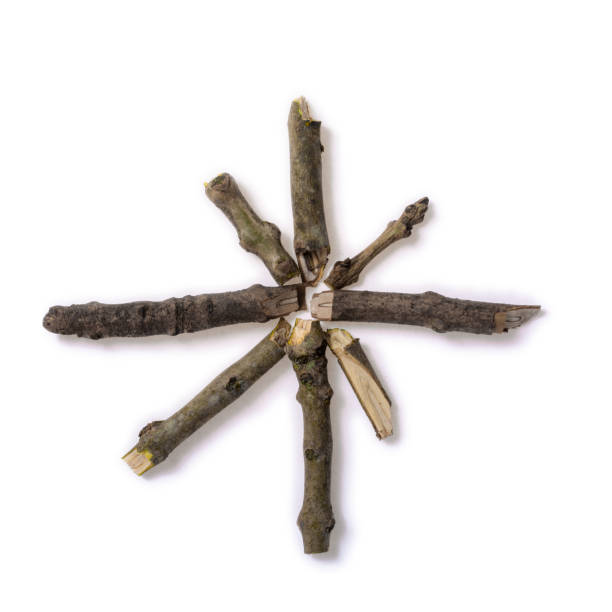istock Wooden Asterix made with in forest found snapped branches 912632700