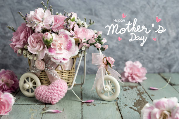 happy mother's day concept of pink carnation in bicycle with pink knitting wool heart on old wood - flower head bouquet built structure carnation imagens e fotografias de stock