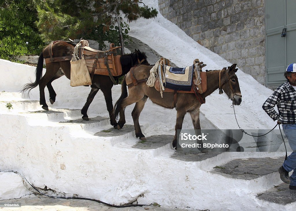 Donkeys in Hydra, Greece  Hydra - Greece Stock Photo