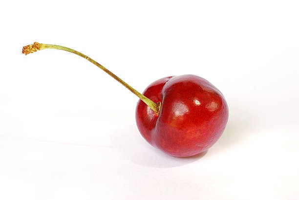 single red cherry stock photo