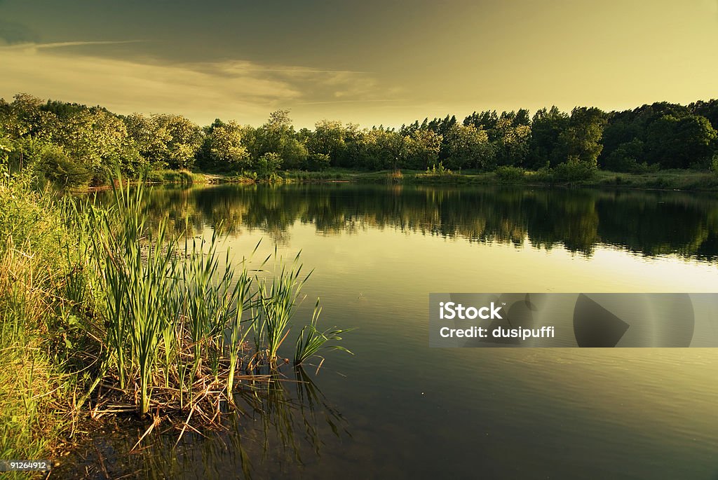 Lago in estate (Filtro) calda - Foto stock royalty-free di A mezz'aria