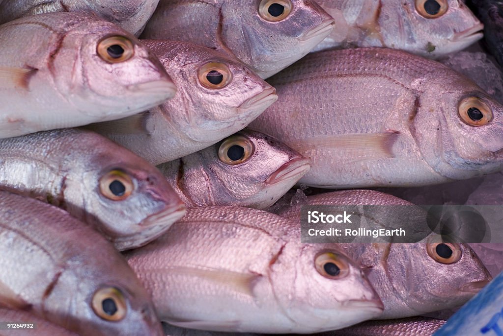 Fish Market " - Lizenzfrei Block - Form Stock-Foto