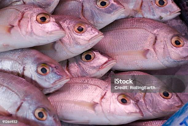 Fish Market Stockfoto und mehr Bilder von Block - Form - Block - Form, Eiswürfel, Fang