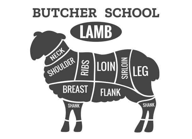 Lamb cutting guide for butcher shop Lamb cutting. Sheep meat cut guide for butcher shop vector illustration chuck drill part stock illustrations