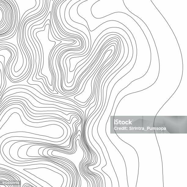 Abstract Black And White Topographic Contours Lines Of Mountains Topography Map Art Curve Drawing Vector Illustration Stock Illustration - Download Image Now