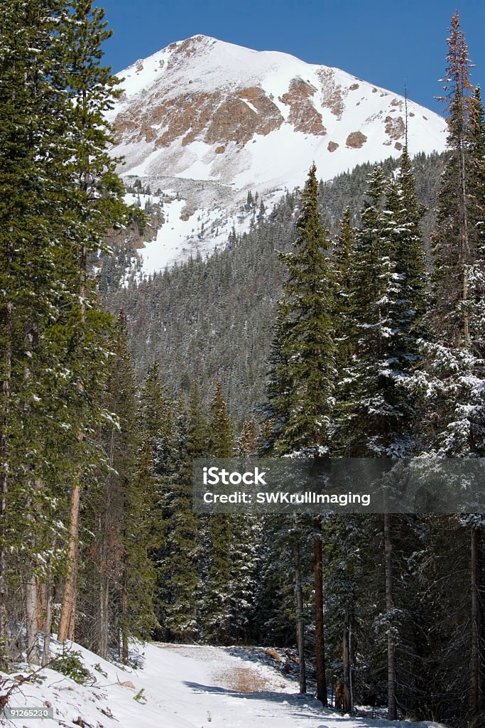 Rugged Trail Rugged section of the Continental Divide Trail with the rugged mountains of the divide in the background. Color Image Stock Photo