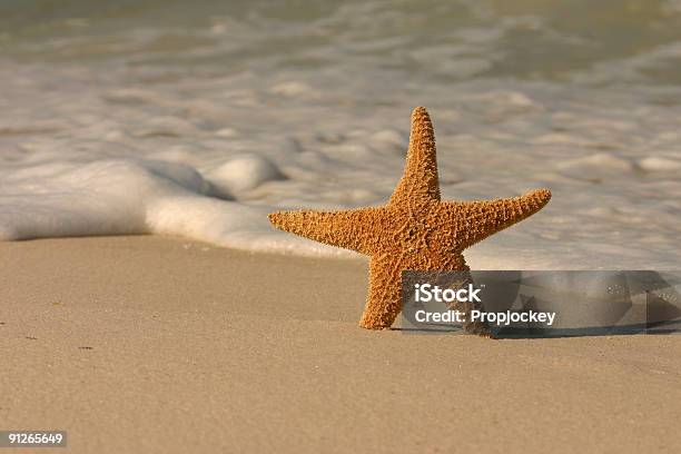 Foto de Estreladomar Com O Surf e mais fotos de stock de Areia - Areia, Arrebentação, Baía