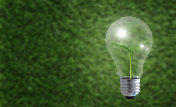 istock Business Growth Concept, Ecology 912658058