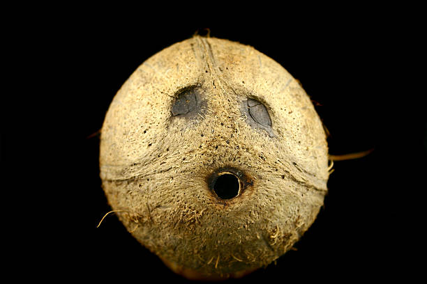 Coconut twarz – zdjęcie
