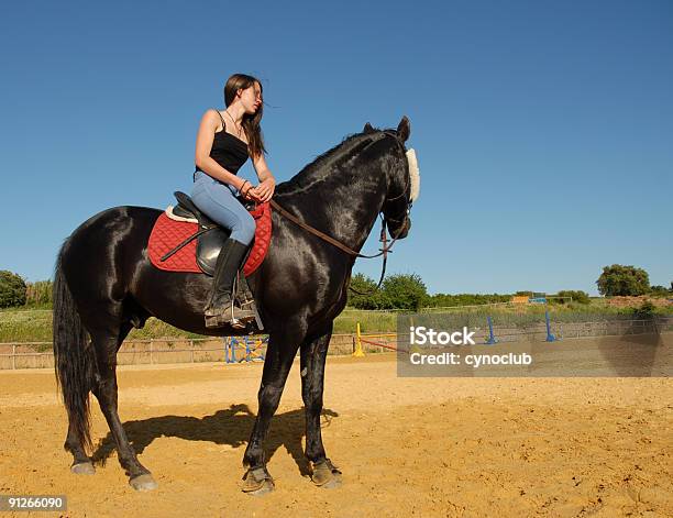 Foto de Cavalo Garota e mais fotos de stock de Adolescente - Adolescente, Adolescência, Adulto