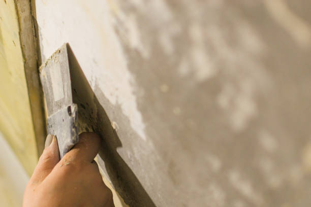 istock repair the old walls with a spatula 912681088