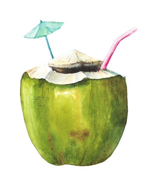 ilustrações, clipart, desenhos animados e ícones de cocktail com palha-de-rosa de coco - goa beach india green