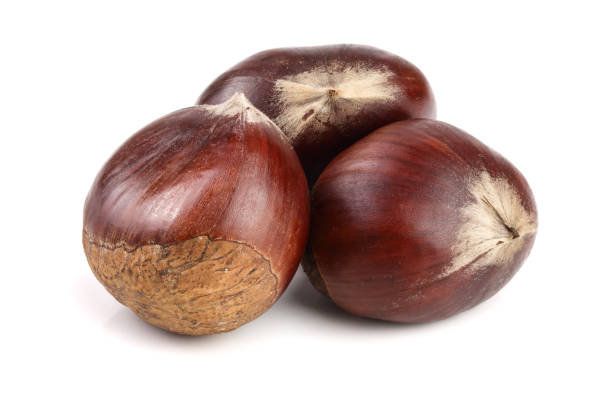 istock fresh edible chestnut isolated on white background 912682440